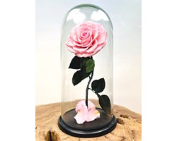 Longlife Roos ‘roze’ in stolp | Eeuwige Roos | Prachtige en unieke gift | Perfect om jouw geliefde mee te verrassen