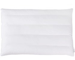 longziming Ultra Platte Kussens – 5 cm Hoog – Slim Bed Kussen – Dunne Slaapkussen voor Buikslapers – Standaard 40x60 cm