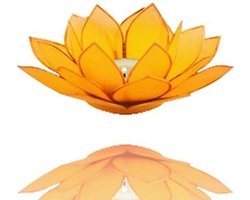 Lotus kaarshouder, Capiz, geel