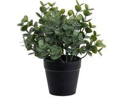 Louis Maes Eucalyptus Kunstplant - in pot - groen - H20 cm