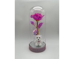Love Rose - Galaxy roos en beertje in glazen stolp met LED - Cadeau voor Vrouw - Valentijn - Moederdag - Huwelijk - Eeuwige Roos