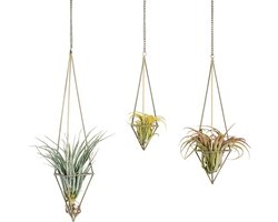 Luchtplant Hanger Set van 3 - Geometrische Plantenhouders van Metaal met Ketting - Himmeli Plantenhangers in Brons - Moderne Tillandsia Houder voor Binnen - Decoratief Plantenrek voor Woonkamer & Kantoor