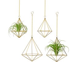 Luchtplantenhouder Set - Airplant Hanger - Woondecoratie - Geometrisch Himmeli Design - 2 Maten - Goud