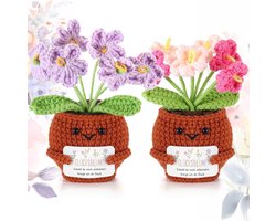 Lucky Charm Set - 2 Gehaakte Bloempot Poppen - Gelukskaart - Mini Positieve Bloemen - Geschenk voor Leraren - Collega's - Vrienden - Kerst - Verjaardag - Nieuwe Baan