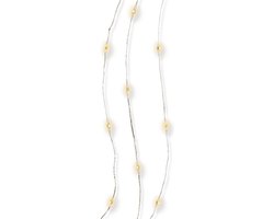Lumineo Draadverlichting - 20 LEDs - warm wit - 95 cm - zilverdraad - kerstverlichting