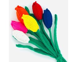 Luna-Leena duurzaam Hollands tulpenboeket in gemengde kleuren - wol - 6 tulpen bloemen - hand gehaakt in Nepal - kunstbloemen - droogbloemen - jubileum - geboorte - feest - trouwdag - beterschap - verjaardag - tulpen uit Amsterdam