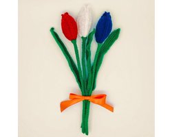 Luna-Leena duurzaam Hollands tulpenboeket in rood, wit en blauw - wol - 3 tulpen bloemen - hand gehaakt in Nepal - hand gehaakt in Nepal - kunstbloemen - droogbloemen - jubileum - geboorte - trouwdag - beterschap - verjaardag - tulpen uit Amsterdam