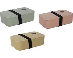 Lunchbox 19,5x11,5x6,5cm