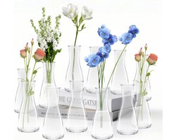 LUOJINYI Kleine vazen, 12 stuks glazen vazen, kleine tafeldecoratie voor bruiloftsdecoratie, kleine glazen vazen, bloemenflesjes, voor tafeldecoratie, middenstukken, bruiloftsdecoraties