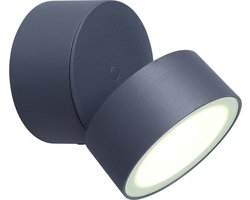 LUTEC Trumpet - LED wandlamp voor buiten - Draaibare lamp - Premium aluminium - 900Lm krachtig licht - 4000K helder wit licht - IP54 extra weerbestendig - Donkergrijs
