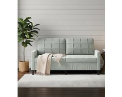 Luxe 2-Zits Velvet Bank – Moderne Lichte Grijze Sofa – Comfortabele Loveseat met Metalen Frame en Dikke Kussens – Perfect voor Woonkamer, Lezen, TV Kijken en Ontspanning House&Garden