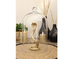 Luxe Glazen Stolp met Knop – Ø 18.2 cm – Hoogte 30 cm