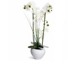 Luxe Kunstorchidee (Phalaenopsis) in Witte Keramieken Vaas – 53 cm Hoge Onderhoudsvrije Nepplant met Realistische Witte Bloemen & Groene Bladeren – Stijlvolle Kunstplant Voor Woonkamer, Slaapkamer, Keuken & Kantoor – Wit