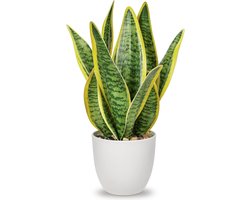 Luxe kunstplant - woonkamer - binnen buiten