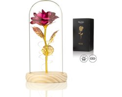 Luxe Roos in Glas met LED - Gouden Roos in Glazen Stolp – Eeuwige Roos - Moederdag - Cadeau voor vriendin moeder haar - Roze - Lichte Voet – Qwality