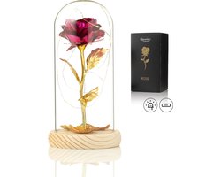 Luxe Roos in Glas met LED – Gouden Roos in Glazen Stolp – Moederdag - Cadeau voor vriendin moeder haar - Roze met Blaadjes - Lichte Voet – Qwality