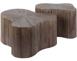 Luxe Salontafel set van 2 - Salontafel Buiten (77x60x38cm) - Salon Tafel - Salontafel Woonkamer - Bijzettafel voor Buiten / Woonkamer / Tuin - Bijzettafeltje Tuin / Woonkamer / Buiten - Bijzettafeltjes Woonkamer