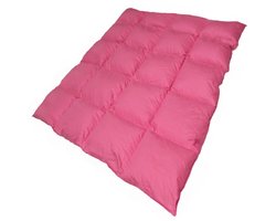 Luxe Winter Dekbed 160x200cm - 2000g Natuurlijk Dons