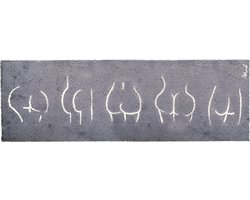 Mad About Mats - Aude - deurmat - droogloop/touch - wasbaar - 50x150