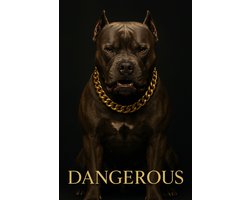 Magie - Dangerous