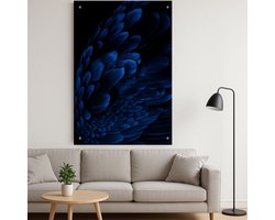 Magie - Midnight Plumage