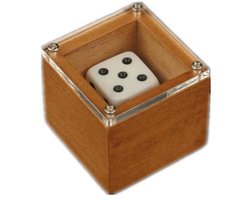 Magische Dobbelstenen 3,8x3,7 cm - Goocheltruc met Veranderende Cijfers en Punten - Illusie Props voor Magie Shows, Goocheltrucs en Speelgoed voor Kinderen & Volwassenen