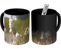 Magische Mok - Foto op Warmte Mokken - Koffiemok - Katoen - Zon - Planten - Magic Mok - Beker - 350 ML - Theemok