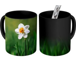 Magische Mok - Foto op Warmte Mokken - Koffiemok - Narcis - Bloem - Wit - Grassprieten - Magic Mok - Beker - 350 ML - Theemok