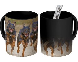 Magische Mok - Foto op Warmte Mokken - Koffiemok - Rennende Rottweilers op een rij - Magic Mok - Beker - 350 ML - Theemok