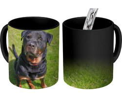 Magische Mok - Foto op Warmte Mokken - Koffiemok - Rottweiler kijkt naar zijn baasje - Magic Mok - Beker - 350 ML - Theemok