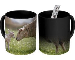 Magische Mok - Foto op Warmte Mokken - Koffiemok - Schaap - Gras - Lam - Magic Mok - Beker - 350 ML - Theemok
