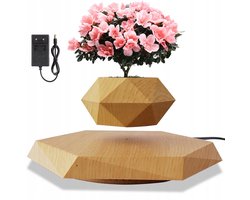 Magnetisch Zwevende Bonsai - Houtnerf Kleur - Hout Look & Automatisch Draaiend - 9x4.5cm Mini Formaat - Kalmerend en Decoratief - Uniek Geschenk voor Kantoor en Thuis