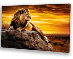 Majestueuze leeuw in het wild - Leeuw wanddecoratie - Muurdecoratie canvas zonsondergang - Hyperrealisme - Landelijke schilderijen - Slaapkamer accessoires - canvas 150x100 cm