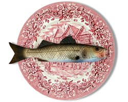 Makreel/Sugarello op ovaal wit bord met donker grijze rand, 24x17cm