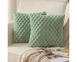 Mandioo Set van 2 saliegroene superzachte decoratieve pluche kussenhoezen 60 x 60 cm wollen fluwelen kussenslopen kussensloop bankkussen decoratief kussen pluizig voor bank slaapbank woonkamer