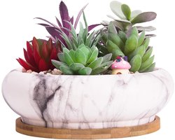 Marmeren keramische plantenpot met drainagebak - 18,5 cm grote ondiepe pot voor cactussen en vetplanten