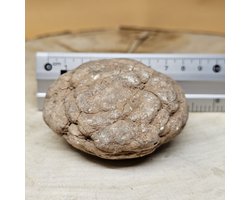 Marokkaanse Kwarts Geode met Bergkristal Maat XL