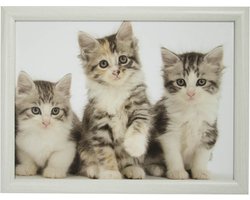 Mars & More Kittens - Laptray - 43x33 cm - Grijs/Wit