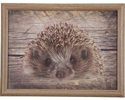 Mars & More - Laptray - Schoottafel - Schootkussen - Laptoptafel - Dienblad met kussen - egel 43x33cm