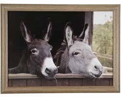 Mars & More Schootkussen – Laptray – Dienblad met kussen - Laptoptafel - Schoottafel - ezels print - 43 x 33 cm