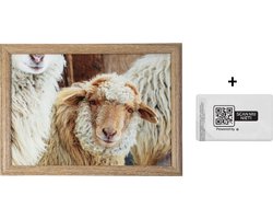 Mars & More Schootkussen laptray schaapjes beige 43x33cm met handige zak formaat pepermuntdoosje.