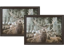 Mars & More Schoottafel - 2x - hert print - 43 x 32 cm - laptray - schootkussen - schootblad - Kat/poes dieren artikelen - Dienblad