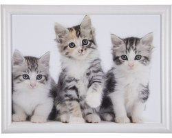 Mars & More Schoottafel schootkussen- katten -kittens - poezen print - 43 x 33 cm