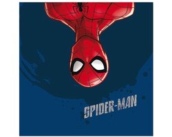 Marvel Kussen Spider-man Junior 40 X 40 Cm Polyester Blauw