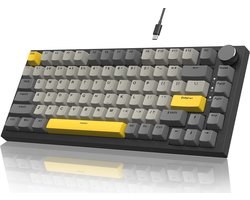 Mechanisch Gamingtoetsenbord 75% ANSI-indeling met RGB-verlichting en Geluidsabsorberend Schuim
