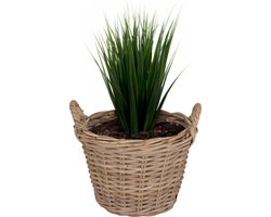 Mega Collections Planten/bloemen mand Levi - rotan - naturel - D35 x H25 cm - plantenpot voor buiten