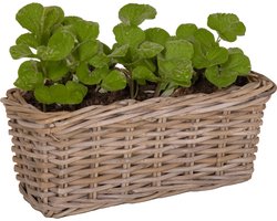 Mega Collections Planten/bloemen mand Levi - rotan - rechthoekig - naturel - 40 x 15 x 17 cm - plantenpot voor buiten