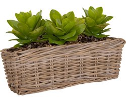 Mega Collections Planten/bloemen mand Levi - rotan - rechthoekig - naturel - 50 x 15 x 17 cm - plantenpot voor buiten