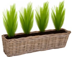 Mega Collections Planten/bloemen mand Levi - rotan - rechthoekig - naturel - 60 x 15 x 17 cm - plantenpot voor buiten