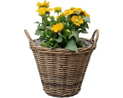 Mega Collections Plantenmand - bloemenmand - D35 x H25 cm - rond - rotan gevlochten - rieten mand